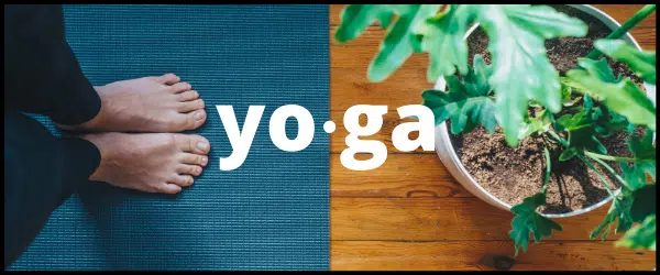 understand what yoga is