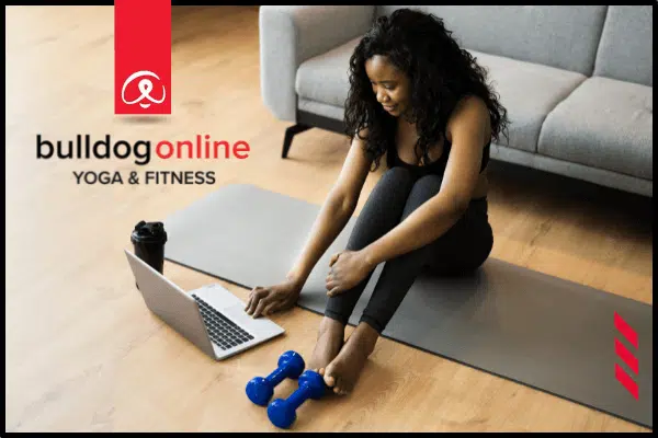 Bulldog Yoga Online Fitness Classes